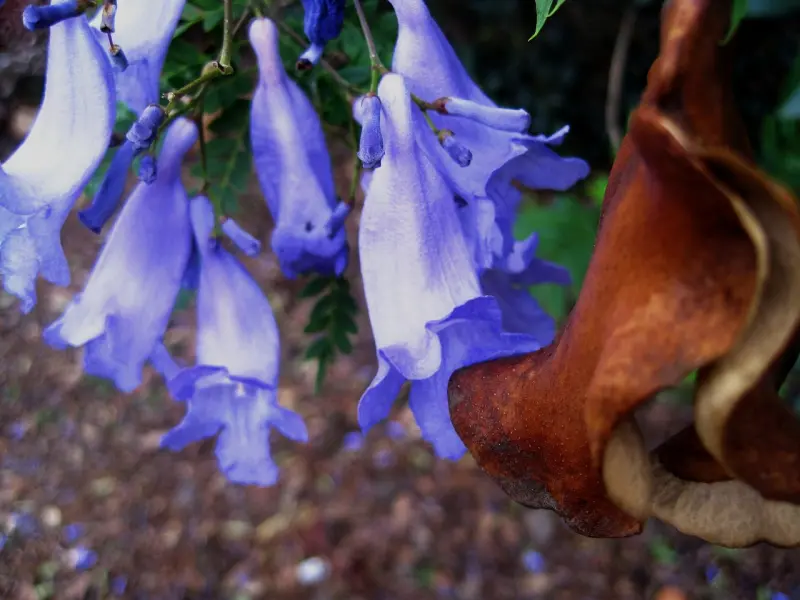 失恋后必须经历的几个阶段，第一个最难熬