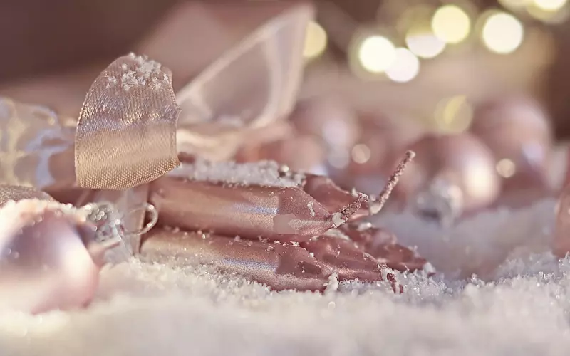 还有4天布局，圣诞节挽回前任