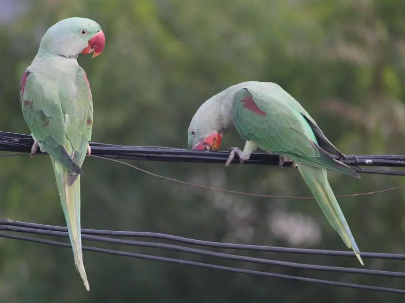 十个当小三的下场，没有一个不让你遗恨终生