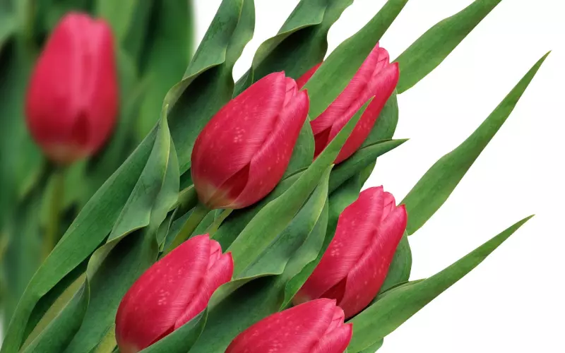 夫妻有三等，你是哪一等？