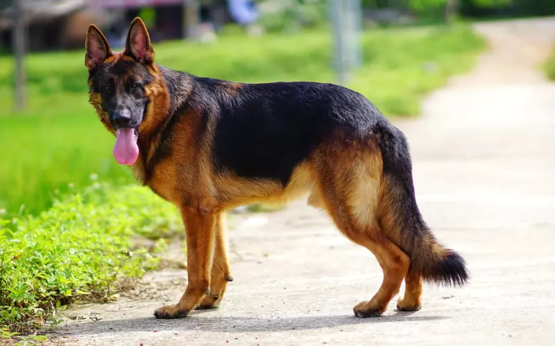 人生三晃：一晃大了，二晃老了，再晃没了