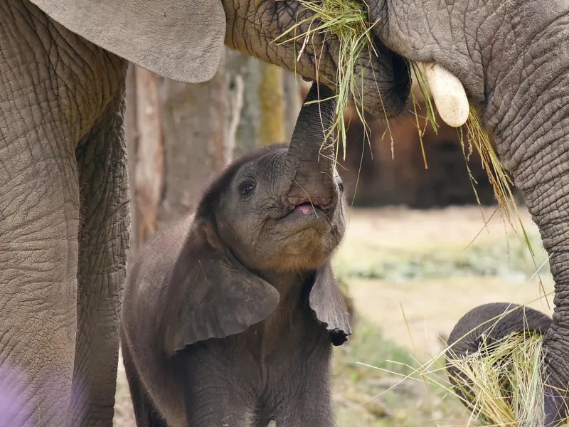 男人深爱着你的三种表现，占一条就说明你没嫁错人！