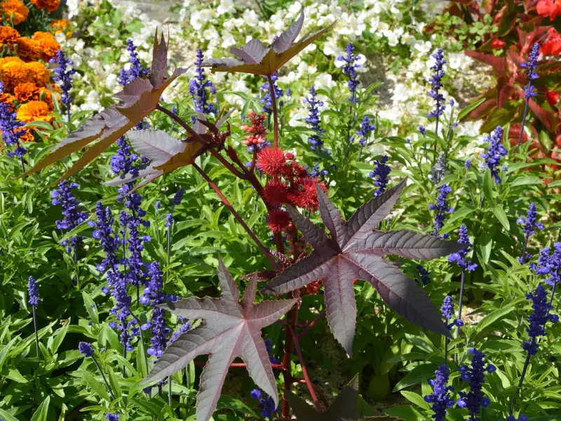 女人招架不住的三种“接吻”方式，第三种大多没办法拒绝