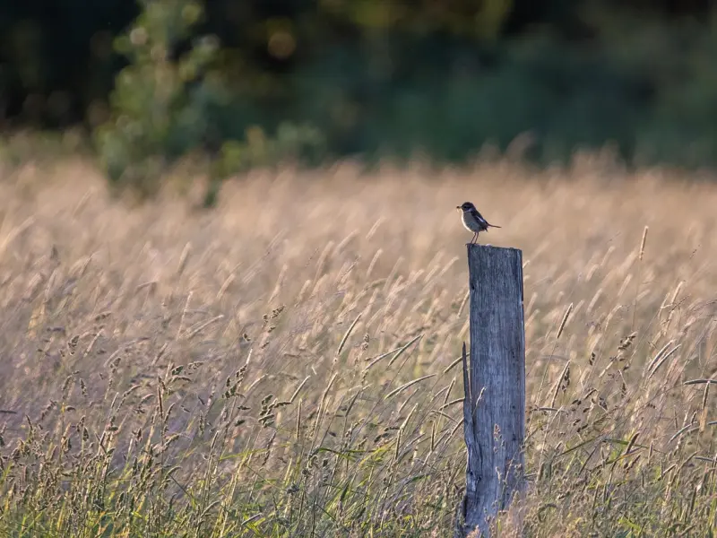 深夜和女生聊天千万不能聊的“话题”，否则越聊越“麻烦”
