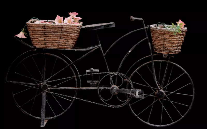 恋爱处于低位的两个特征，有则改之无则加勉