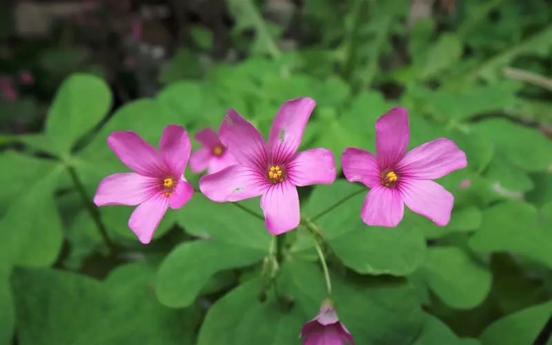 男人最希望被碰的三处，有一种触电的感觉，特别第一个