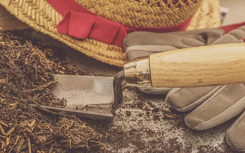 有种感觉叫到此为止