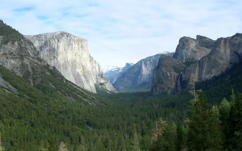 有一种再见，美到无言