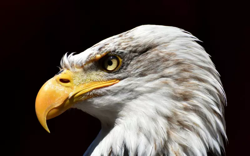 有一种情，即使做不成夫妻，也能相爱到白头