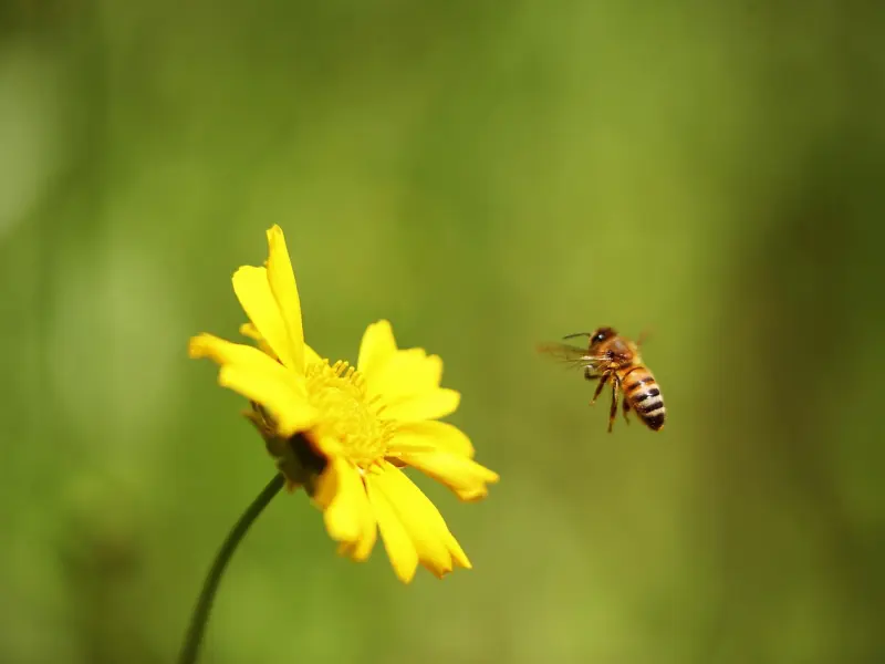 有一种爱情的模样是：我很忙，但一直都在！