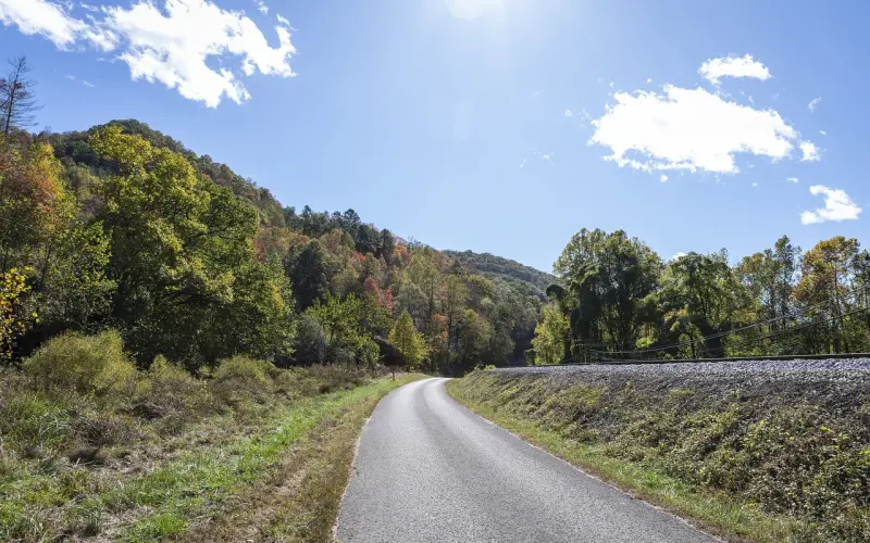 有一种情，叫不敢打扰；有一种爱，叫我想懂你
