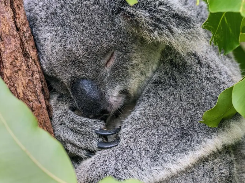 微信朋友圈里有一种人，你早就该拉黑了