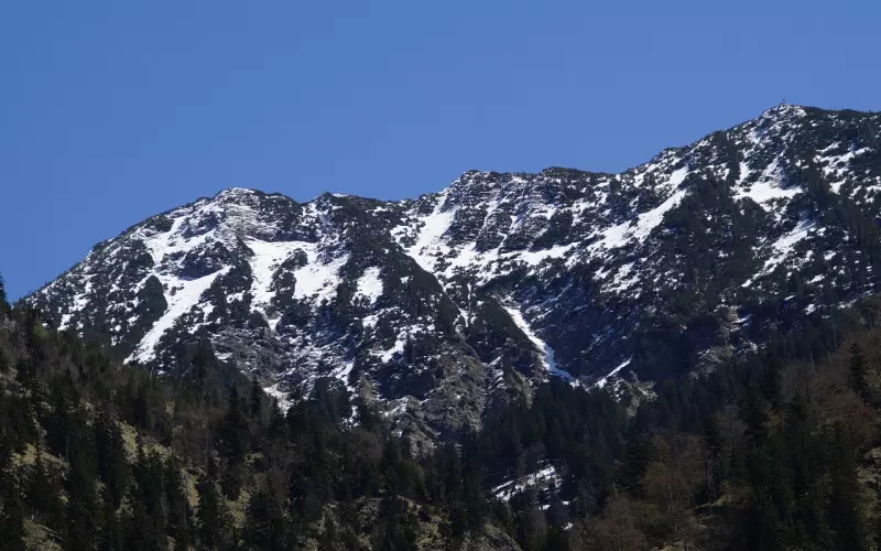 有一种渣男渣女叫做中央空调