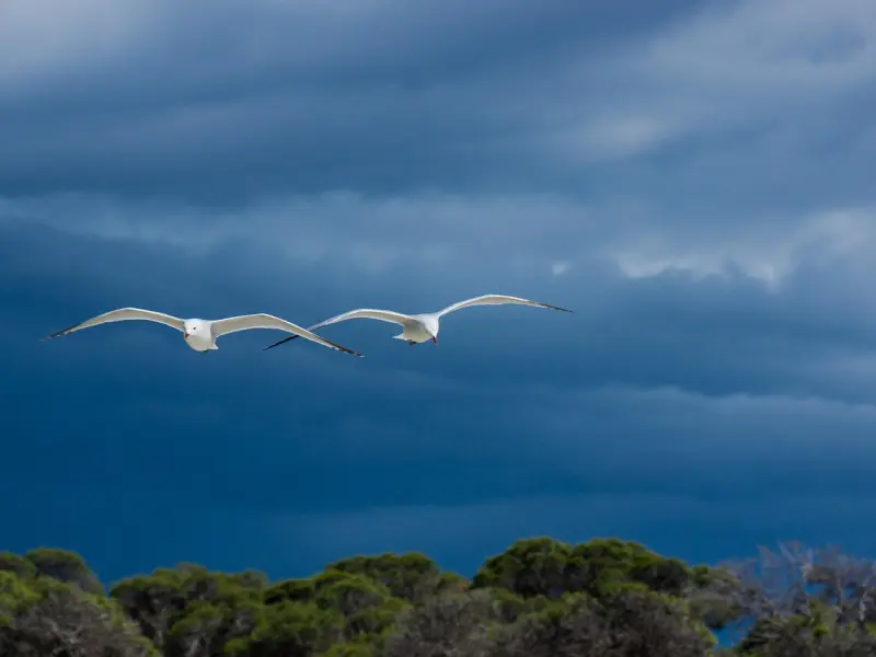 有一种真爱，无缘做夫妻，却是人世间最真的情
