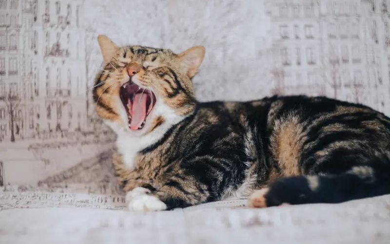 有一种暖，叫心上有你