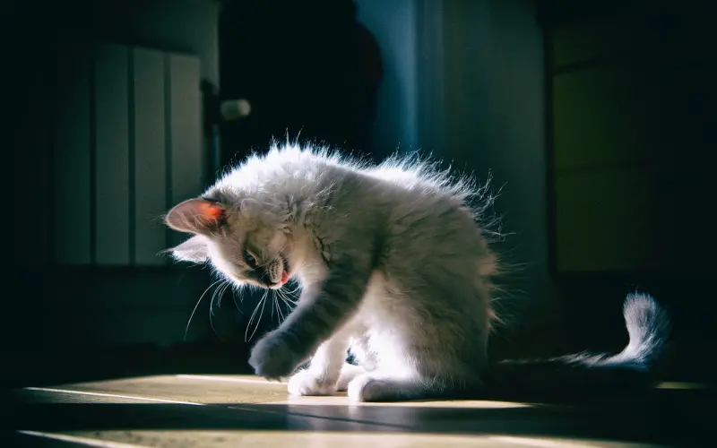 有一种难得，叫“理解”