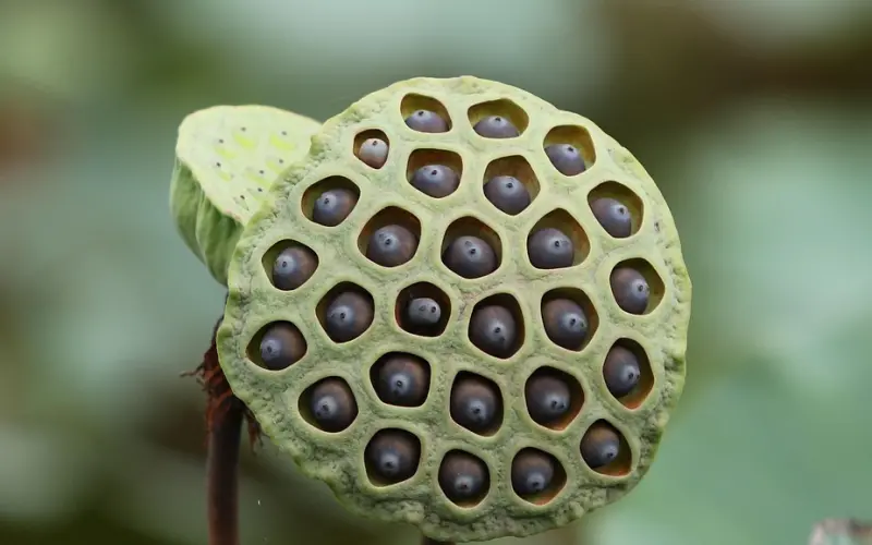 有种关系，难以替代，今生无法忘记