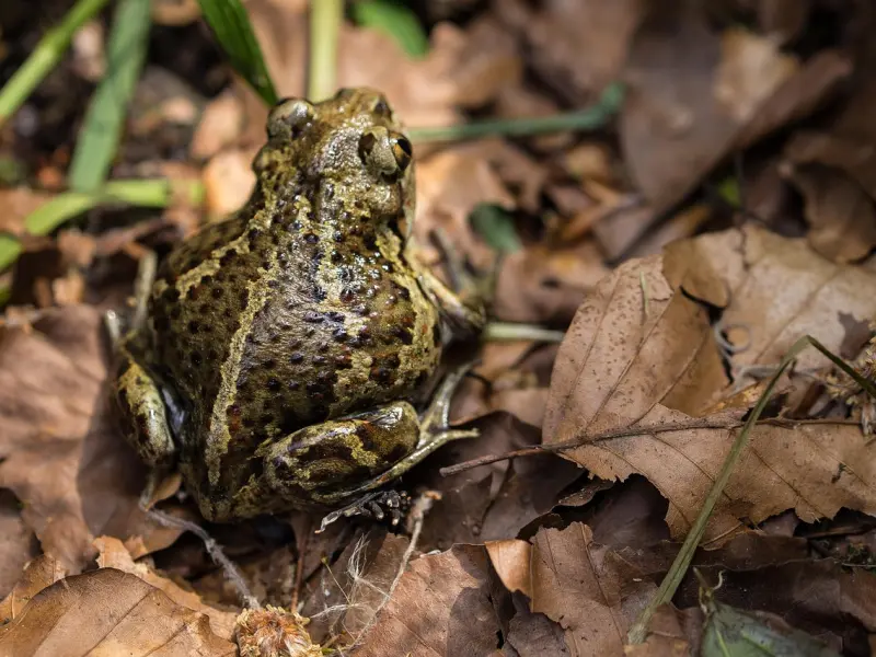 婚姻出现了裂痕，还能挽回吗