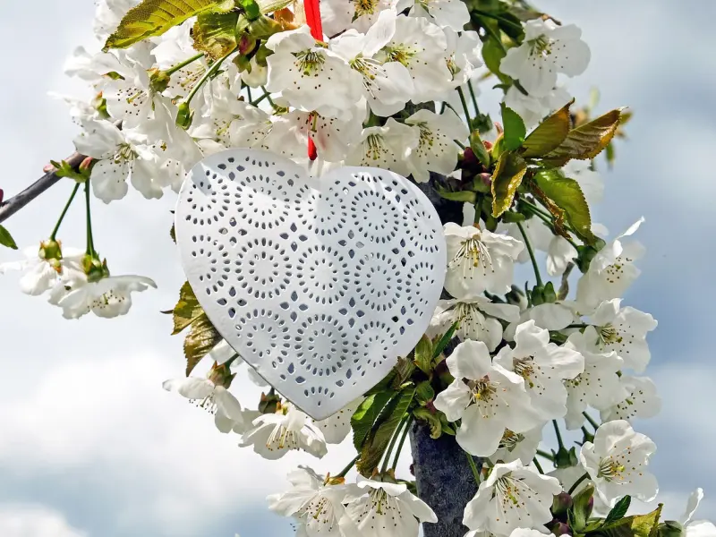 你中有我，我中有你， 不是夫妻，却胜过夫妻