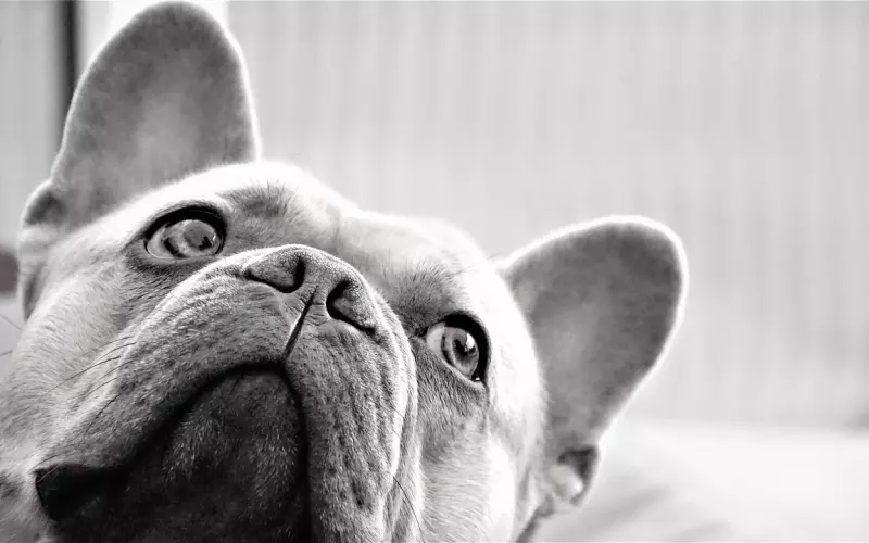 都没有联系方式了如何挽回