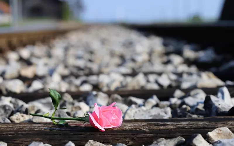 你们之间没有爱的表现