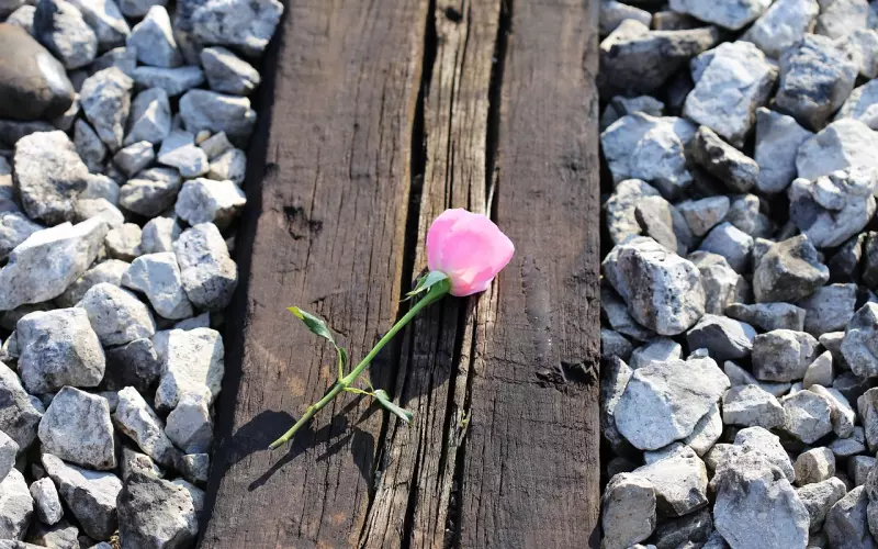 你们之间没有爱的表现