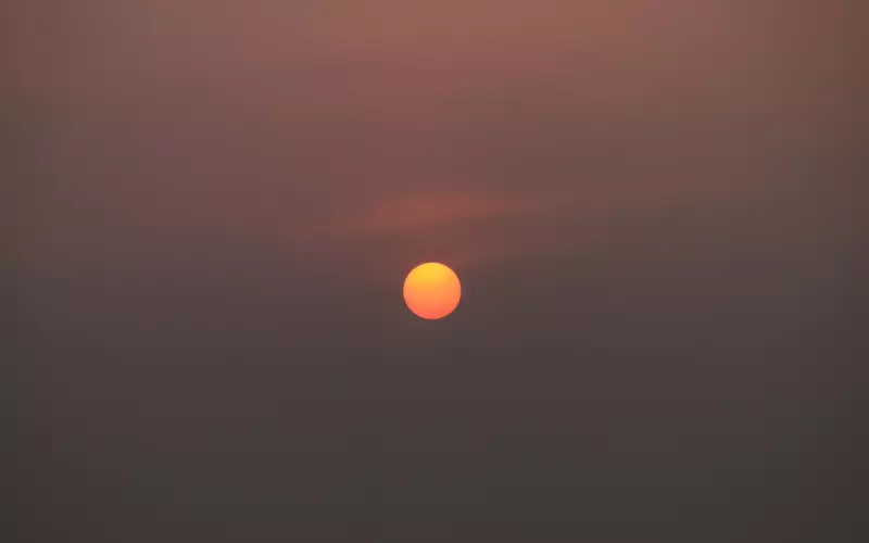 没有爱，只有性的相处，又不想沦为炮友，能挽回吗？