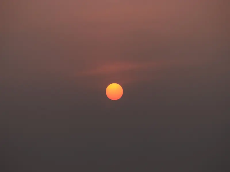 狮子座的感情没有可不可以，只有愿不愿意