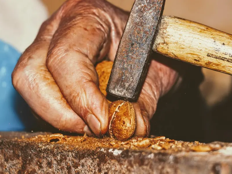 没有是不是备胎的道理