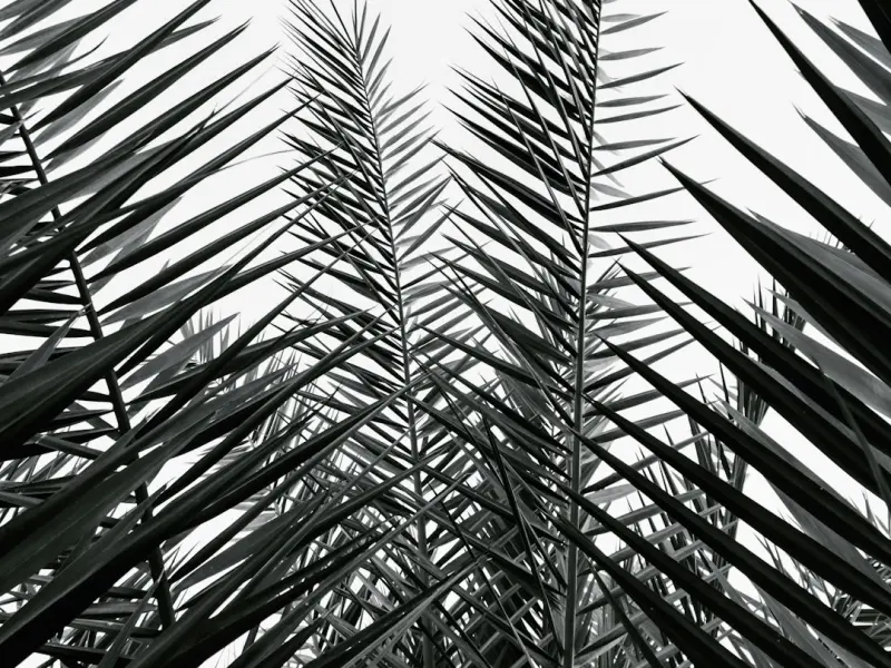 挽回爱情没有捷径，越想快越欲速则不达