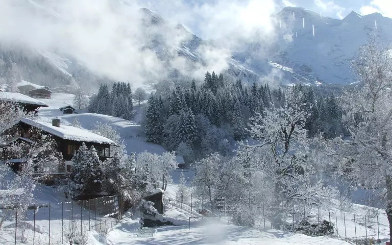 心上无事，身上无病，世上好光景！（深度好文）！