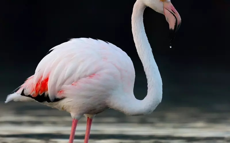 挽回前任时，必须要做好的一件事，这样复合的几率才会更大