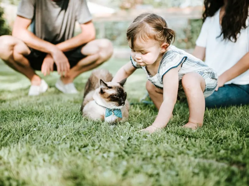 爱情里有件事，我只想和你做