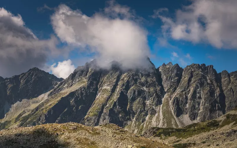真性分手还有一定的希望