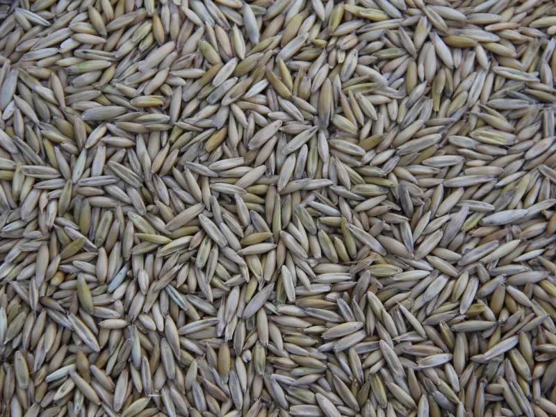 两人之间一定有恨意，如何消除这些恨意