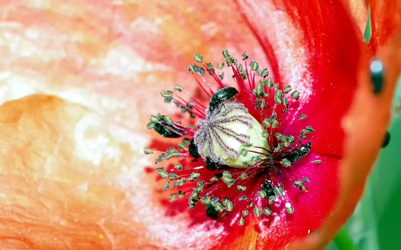 你的朋友圈里肯定有这种恶心的人！