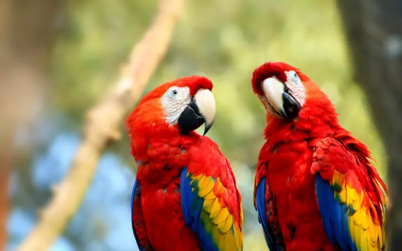 过往你给他的印象，有好的与坏的，那从现在起呢