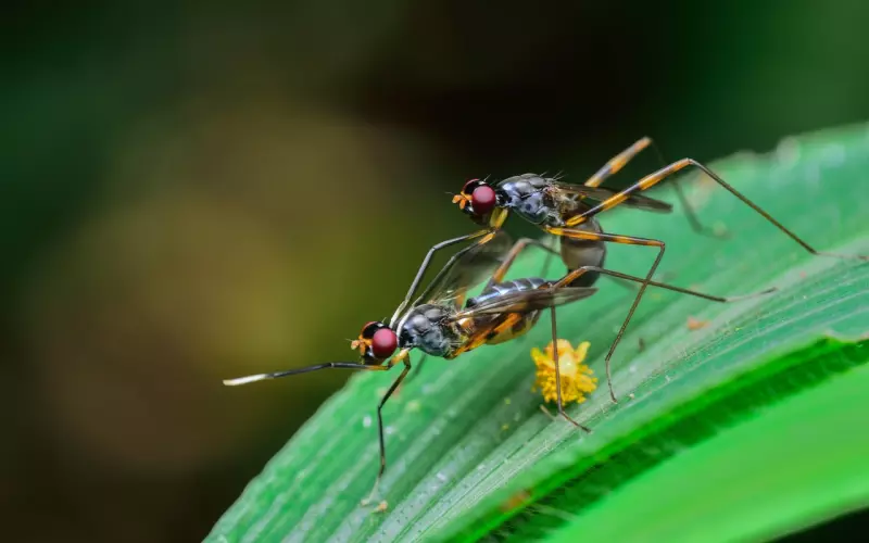 再无来世，珍惜今生