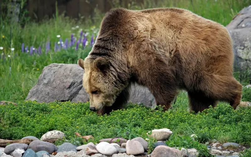 挽回爱情通常会遇到这4大难点！