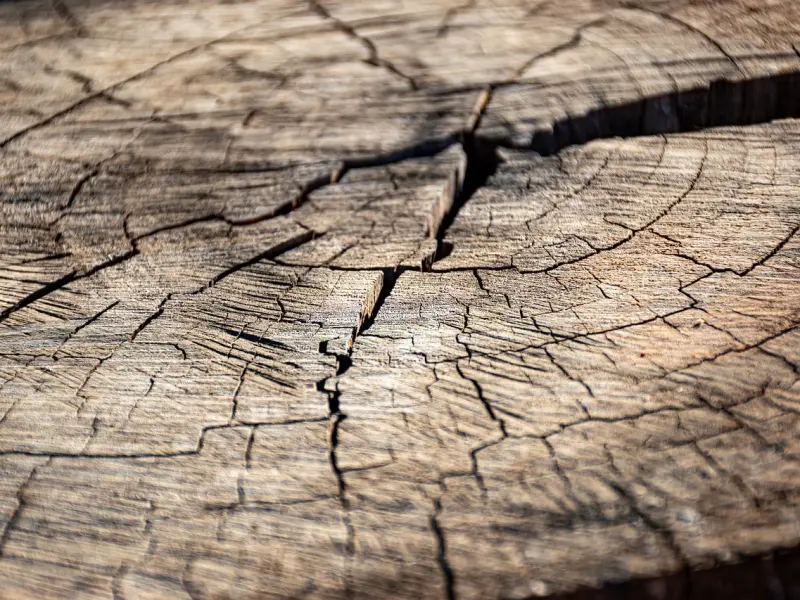 这4个地方是女生的死穴，经常抚摸，她服服帖帖