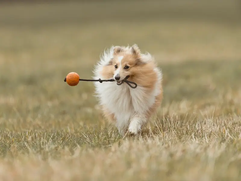 男人的这5个死穴，女人碰不得！
