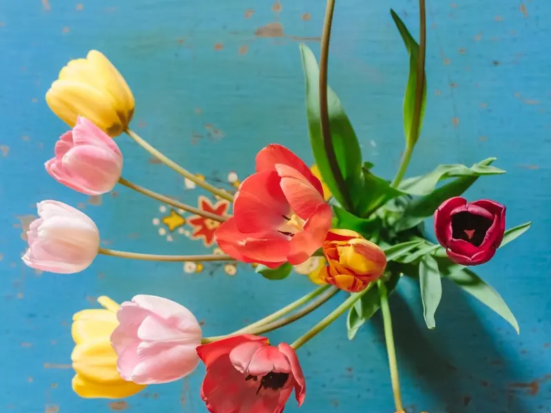 女生的这5个动作 其实是在暗示你 快点表白