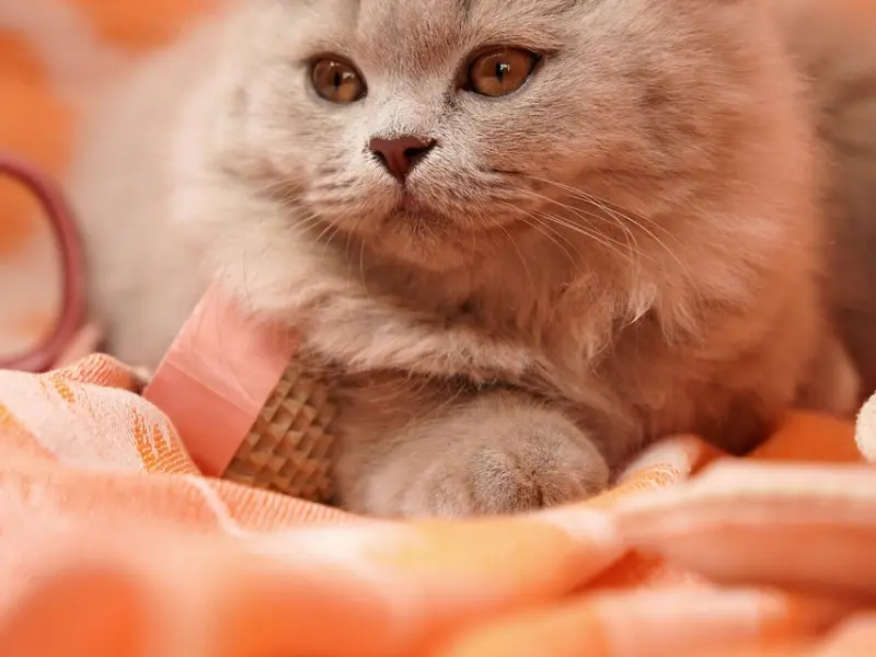 这5种认知偏差，导致你恋爱谈不长！