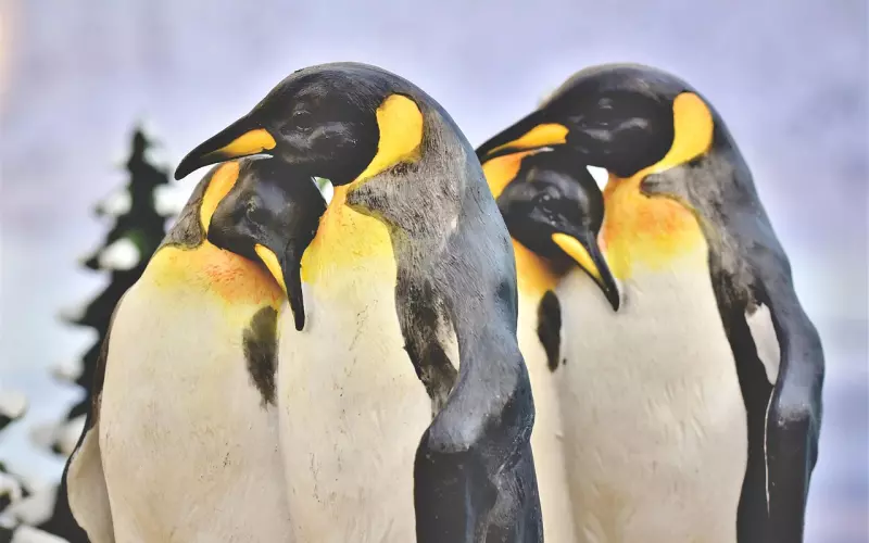 恋爱的这6件事,属于单身贵族的恋爱忠告!