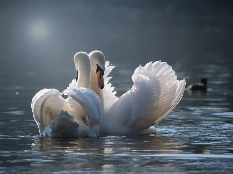 睡觉时男人这几个动作证明他对你很爱很爱，恩爱到让人羡慕！