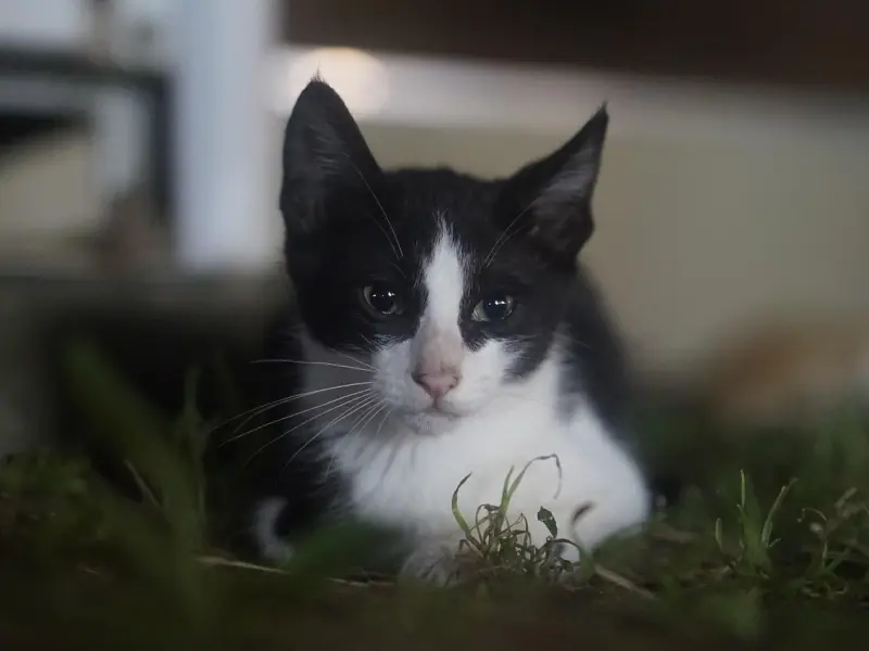 这些举动说明他并没有放下你，只是死要面子而已