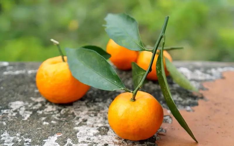 这大概是女人想脱单的九个瞬间吧