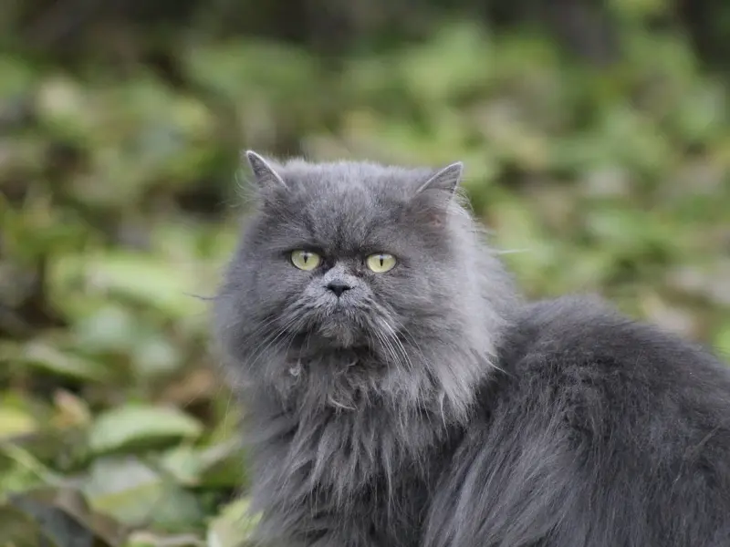 这几种女人男人最喜欢，会爱得难以自拔