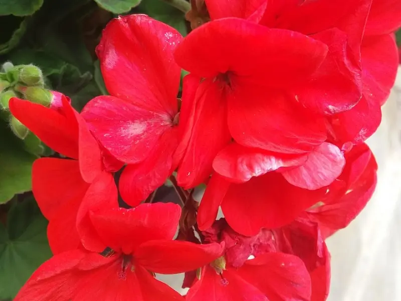 这是婚姻里的3颗定时炸弹，一定要尽早排除！