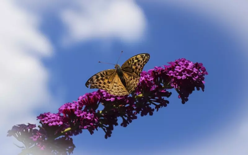 这四个行为最惹男人“欢心”，妥妥的好女人形象